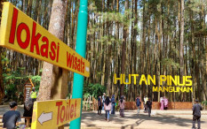 Long Weekend Saat Musim Hujan, Ribuan Wisatawan Kunjungi Kawasan Wisata Mangunan