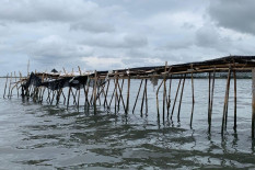 Pemasangan Pagar Laut Menimbulkan Kerusakan, Ini Daftarnya Menurut BRIN