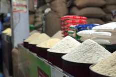 BPS Mencatat Harga Beras Eceran Makin Mahal, Tembus Rp14.616 per Kilogram