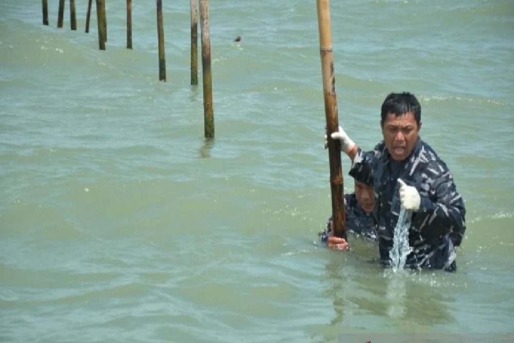 TNI AL Bongkar Pagar Laut Sepanjang 22,5 Km di Tangerang