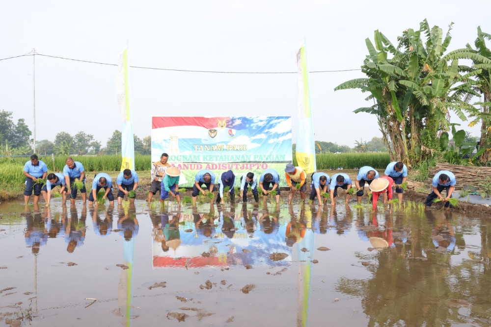 Dukung Ketahanan Pangan, Lanud Adisutjipto Manfaatkan Lahan untuk Ditanami