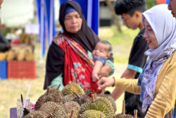 Kenalkan Durian Patuk, HeHa Sky View Gelar Pasar Durian Runtuh