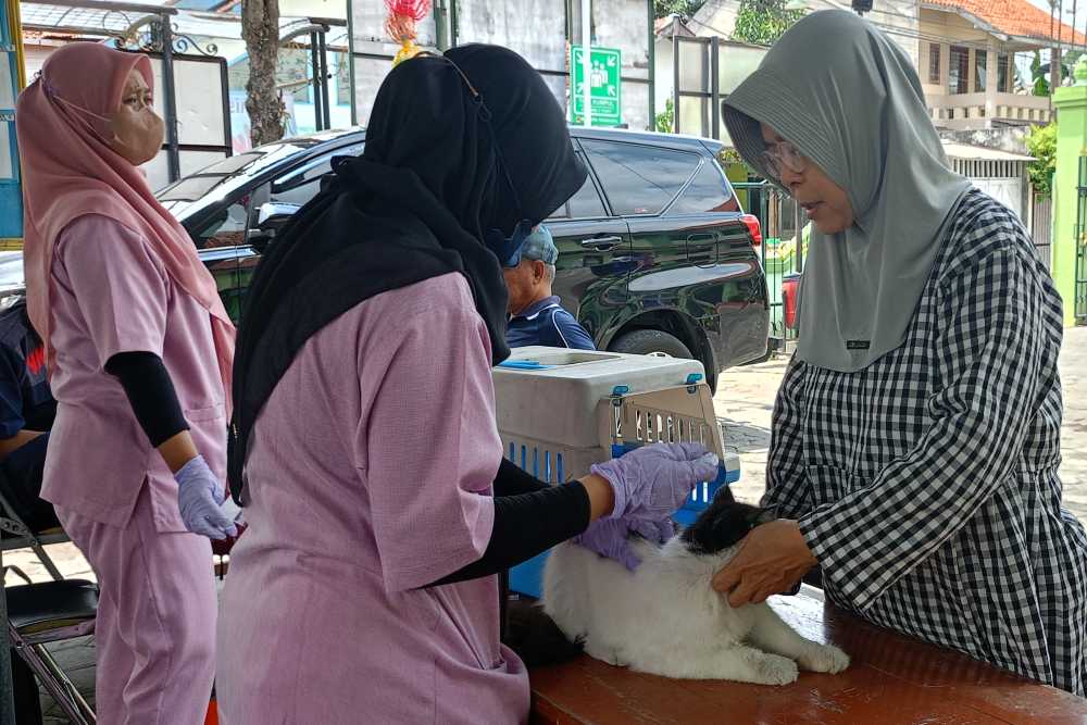 Vaksinasi Rabies Gratis di Jogja, Catat Tanggal dan Link Pendaftarannya