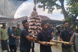 Nyadran Jelang Ramadan: Gunungan Ikan Diarak ke Makam Sombomerten dan Pengajian Dihadiri Ribuan Warga