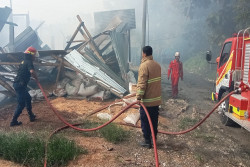 Kandang di Ngawen Gunungkidul Ludes Terbakar, 23.000 Anakan Ayam Mati Terpanggang