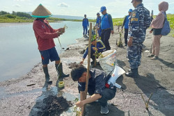 Aliansi Mahasiswa Nusantara Gelar Aksi Peduli Lingkungan di Pantai Samas