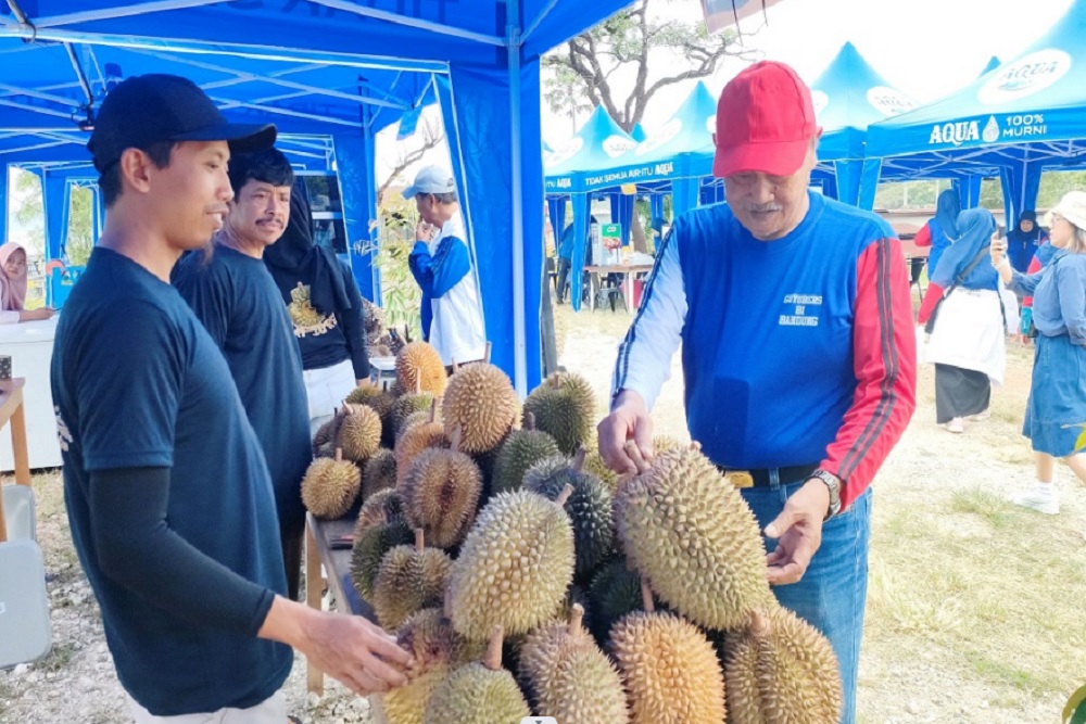 Harga Jual Rendah, Durian Lokal Gunungkidul Kencono Rukmi Mulai Kalah Pamor dengan Varietas Lain