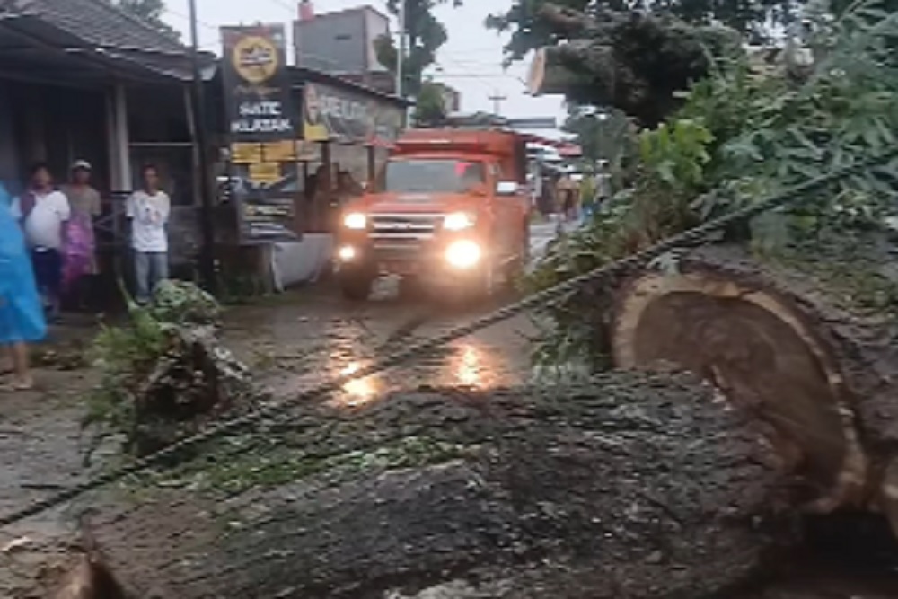 Hujan Angin di Bantul Rusak Puluhan Rumah dan Pohon Tumbang