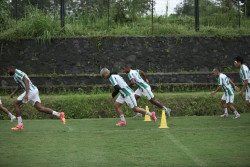 Jelang PSS Sleman vs Barito Putera, Pieter Huistra Minta Elang Jawa Mewaspadai Performa Laskar Antasari