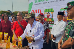 Kemasan Minyakita Tak Sesuai Takaran Ditemukan di Gunungkidul