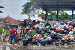 Titik Sampah Liar di Jogja Diklaim Berkurang Berkat Sistem Transporter