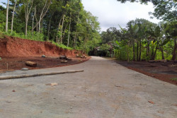 Bermanfaat untuk Masyarakat, Program Padat Karya Bakal Dilanjutkan Tahun Depan