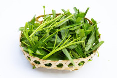 Sayur Kangkung Banyak Mengandung Air dan Bermanfaat Menjaga Kesehatan Tulang