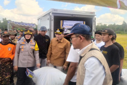 Produktivitas Padi di Bantul Capai 8 Ton Per Hektare, Melebihi Rata-rata Nasional