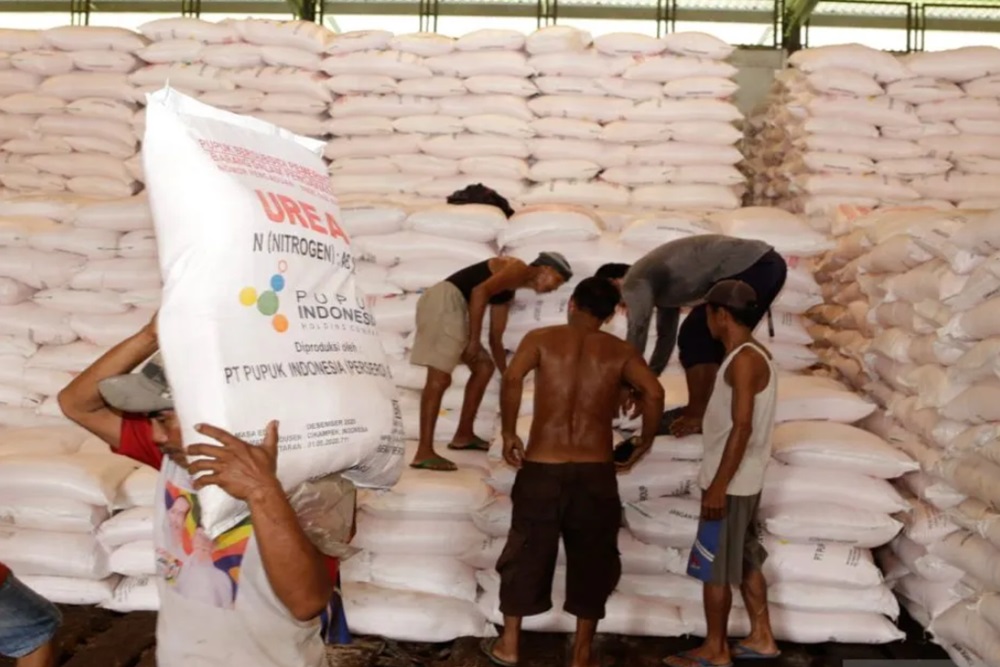 Distribusi Pupuk Bersubsidi Kini Dilakukan Langsung dari Pabrik ke Petani, Puluhan Ribu Distributor Mengeluh