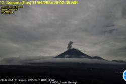 Malam Ini, Gunung Semeru Erupsi dengan Tinggi Letusan 800 Meter