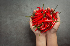 Cek Harga Pangan Hari Ini, Senin 14 April, Cabai Rawit Naik dan Telur Turun