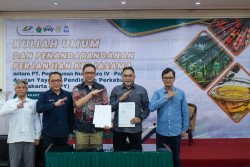 Kerjasama Politeknik LPP dengan PT. Perkebunan Nusantara IV - PalmCo Hadirkan Peluang Kerja bagi Mahasiswa Terbaik di Industri Perkebunan