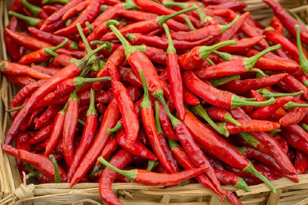 Harga Cabai Rawit Merah Hari Ini 20 April 2025 Rp77.190 per Kilogram