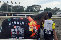 Ratusan Kuda Terbaik Nusantara Jajal Trek Lapangan Pacuan Kuda Sultan Agung Bantul