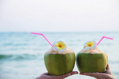 Air Kelapa Muda Punya Banyak Manfaat untuk Ibu Hamil, Simak Penjelasannya