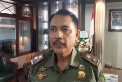 Satpol PP Bantul Bertindak Tegas Minta Peternak Babi di Plumutan Hentikan Aktivitas