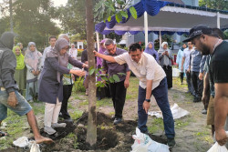 Pohon Kepel Jadi Identitas Kampus UII, Ini Manfaat dan Filosofinya