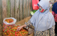 Cek Harga Pangan Hari Ini, Rabu 23 April 2025, Cabai Rawit Naik Lagi!