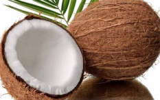 Harga Kelapa di Kulonprogo Melonjak, Dinas Perdagangan Ungkap Penyebabnya