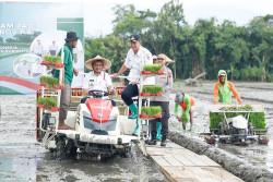 Jelang Kemarau, Ahmad Luthfi Genjot Penanaman Padi Seluas 250 Ribu Hektare pada April 2025