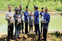 Jaga Kelestarian Ikan Endemik Lokal, Gunungkidul Rutin Tabur Benih Tawes dan Nilem