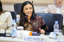 Hadapi Ketidakpastian Ekonomi Global, Pemerintah Perlu Optimalisasi PNBP Sektor Sumber Daya Alam