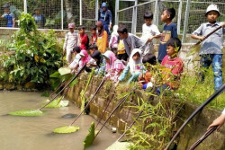 Asyiknya Interaksi Langsung dengan Hewan di Kampung Satwa Kedung Banteng