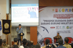Tantangan dan Strategi Pemenuhan Standar Sarang Burung Walet Dalam Mendukung Hilirisasi