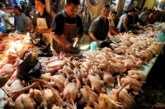 Harga Daging Ayam dan Cabai di Sleman Mulai Turun, Telur Masih Tinggi