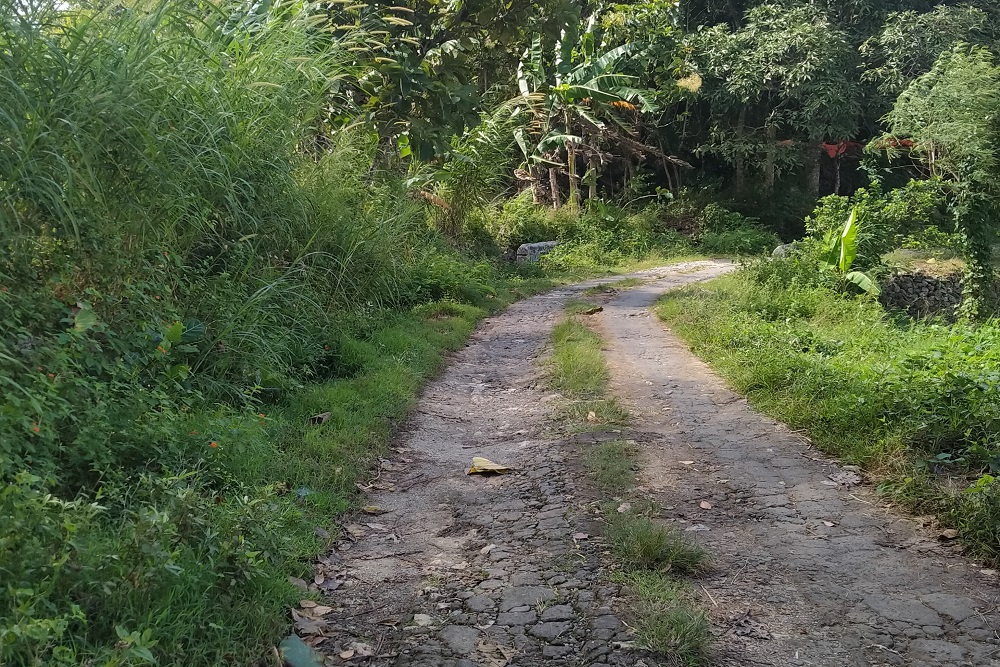 Jalan Rusak Menuju Padukuhan Jorong di Purwosari Gunungkidul Belum Bisa Diperbaiki, Ini Alasannya