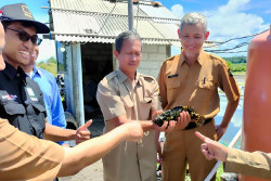 Kulonprogo Bidik Budidaya Kerapu Cantang di Wilayah Pesisir