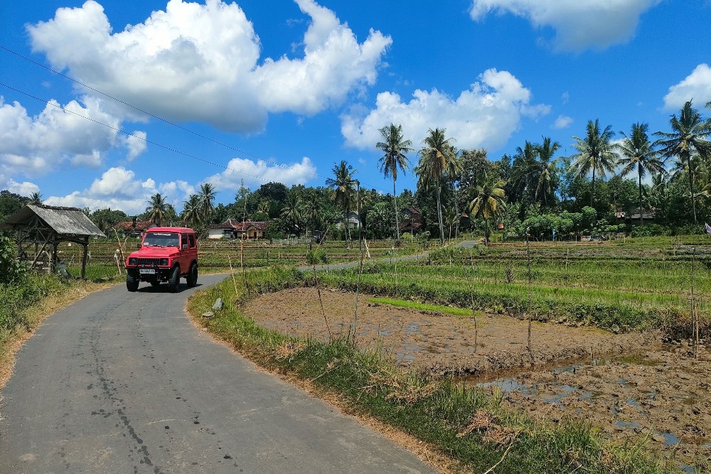 Hasil Panen Pertama Menggembirakan, Gunungkidul Optimistis Target Produksi Gabah Terpenuhi