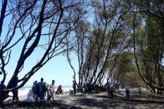 Rencana Pengembangan Pantai Selatan untuk Wisata Malam, Ini Kata Pemda DIY