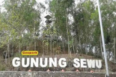 Luasan Karst Gunung Sewu Capai Seribu Kilometer Persegi, Begini Sebaran di Tiap Kabupaten