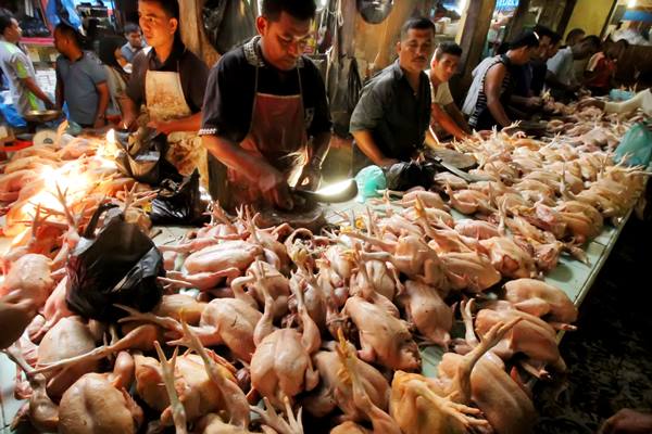 Harga Daging Ayam Hari Ini 5 Mei 2025 Turun, Rp33.285 per Kilogram
