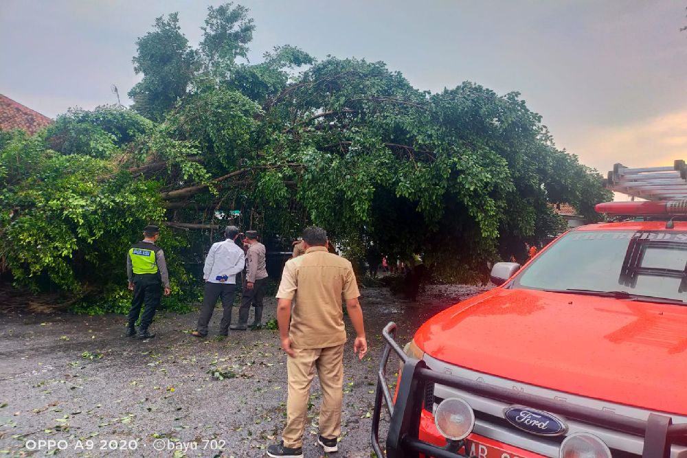 Dampak Hujan dan Angin Kencang di Sleman, Warga Widodomartani Ngemplak Meninggal Tertimpa Pohon