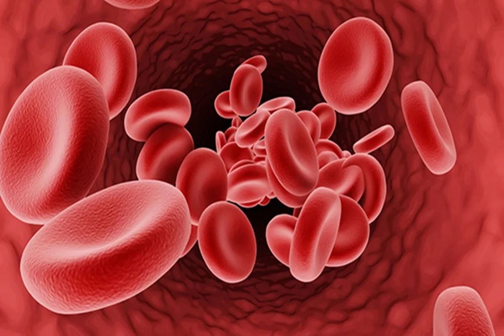 Anemia pada Wanita Dapat Ditangkal Sejak Usia Remaja, Begini Caranya