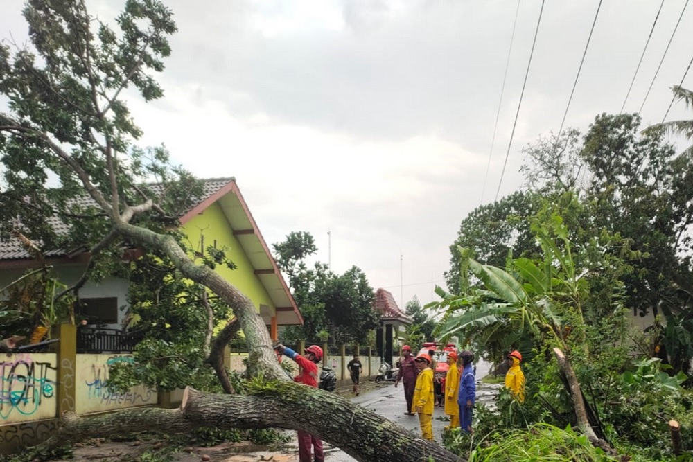 BNPB Catat Dampak Cuaca Ekstrem Picu Bencana di DIY dan Bogor