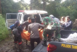 Pendaki Asal Bandung Meninggal Dunia di Gunung Lawu, Korban Henti Nafas di Area Pos Bayangan