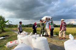 Serap Gabah 111 Ribu Ton, Bulog Kanwil Jogja Sewa Gudang Tambahan