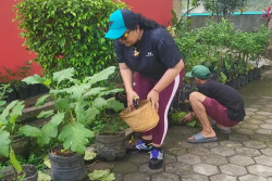 Bupati Gunungkidul Ajak Warga Sulap Emperan Rumah Jadi Lahan Produktif