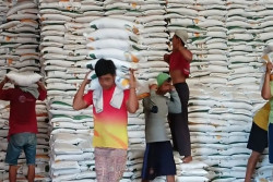 Serap 25.000 Ton Gabah Petani, Bulog Magelang Tambah Gudang Penyimpanan