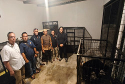 Pelihara Beruang Madu hingga Binturong, Pria Kulonprogo Diringkus Polda DIY