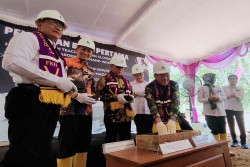 Kandang Ayam Petelur Berteknologi Modern Dibangun di Playen Gunungkidul